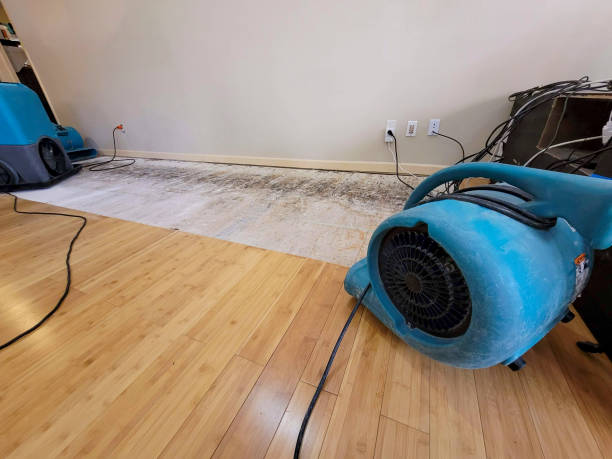 Professional Burst Pipe Water Damage technician working in Addison, ME